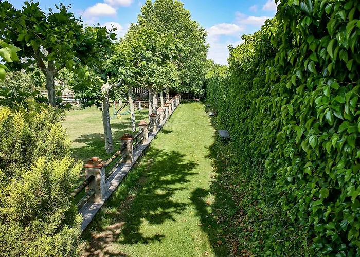 La Noria Semesterbostad Ciudad-Rodrigo